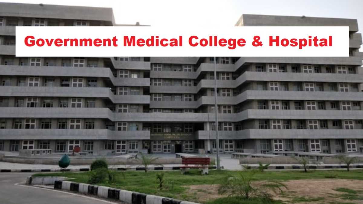 MHSRB Assistant Professor Recruitment 2025 Direct Link Apply 607 Posts