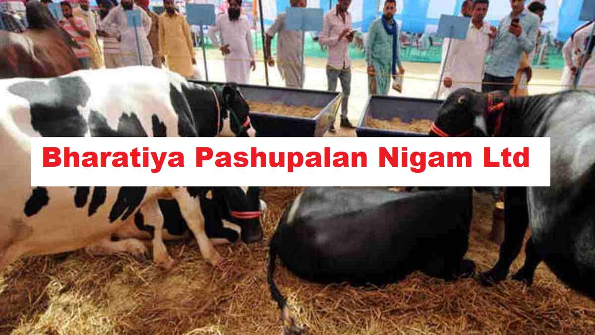 BPNL Panchayat Pashu Sevak, Officer Recruitment 2025 Last Date