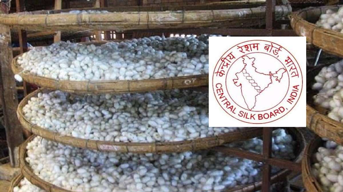 CSB Scientist B Recruitment 2026 Direct Link Apply 28 Posts