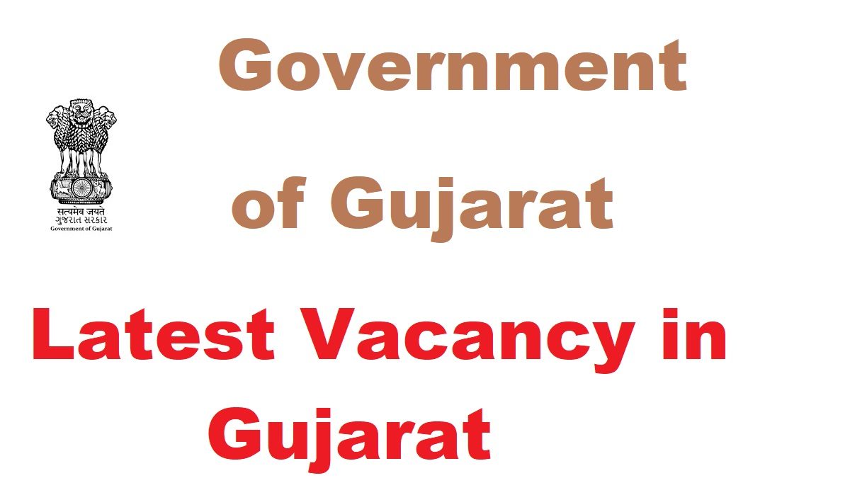 Kutch Gujarat Vidya Sahayak Recruitment 2025 Direct Link Apply 4100 Post