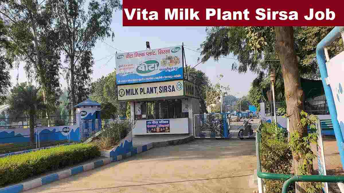 Vita Milk Plant Attendant Recruitment 2025 Direct Link Apply 02 Posts