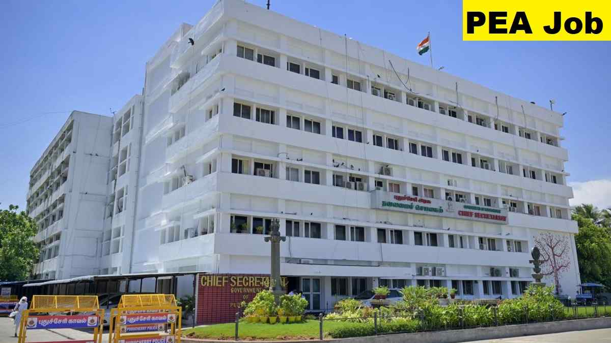 PEA LDC, Clerk, Officer Recruitment 2025 Direct Link Apply 484 Posts