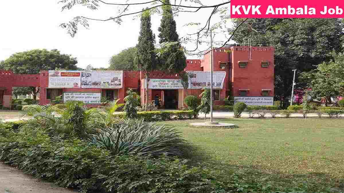 KVK Ambala Driver Recruitment 2026 Last Date, Salary, Fee Details